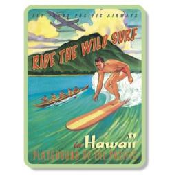 �ϥ磻����ޥ��ͥå�/SURFER