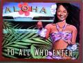 �ڱ߹�Ը�SALE�ۥϥ磻�������/ALOHA