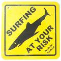 �ϥ磻�������/Shark