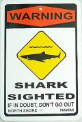 �ϥ磻�������/Shark2