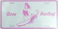 �ϥ磻�������/Gone Surfing