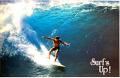 �ϥ磻���󡦥ݥ��ȥ�����/Surf's Up