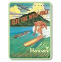 �ϥ磻����ޥ��ͥå�/SURFER