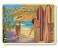 �ϥ磻����ޥ��ͥå�/SURFBOARD RENTALS
